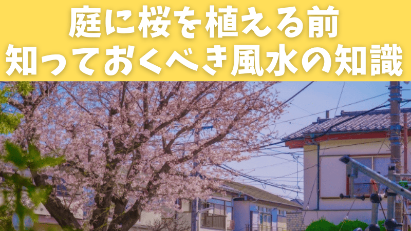 庭に桜を植える前に知っておくべき風水の知識